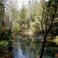 10934 S Ponderosa Way, Grass Valley, CA 95945 ID:1137799