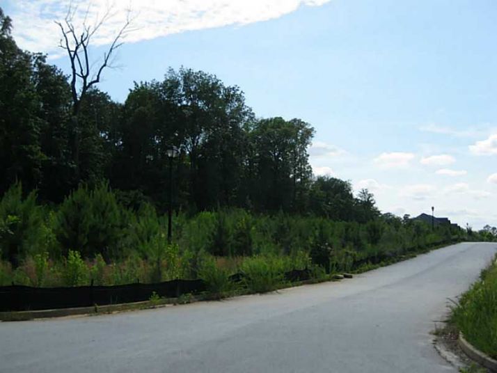 2729 Bench Circle, Ellenwood, GA 30294