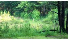 1539 Bear Creek Lot 5 Road Moreland, GA 30259