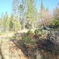 12542 Hidden Valley Rd., Grass Valley, CA 95949 ID:1147395