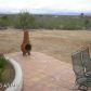 35265 S US HIGHWAY 93 --, Wickenburg, AZ 85390 ID:1581545