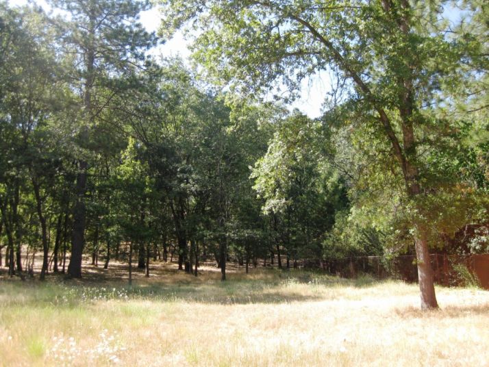 10710 West View Way, Grass Valley, CA 95949