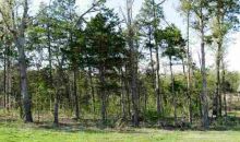 Lot 10 1st Street St Mountain Home, AR 72653