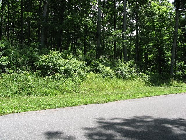 000 MAGNOLIA DRIVE, Kuttawa, KY 42055