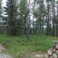 L42 Authentic Road, Soldotna, AK 99669 ID:1081594