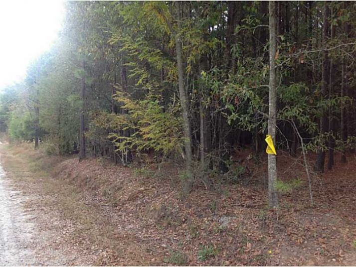 0 Etchison Spur, Loganville, GA 30052