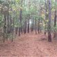 0 Etchison Spur, Loganville, GA 30052 ID:3438075