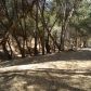 20453 Pine Mountain Drive, Groveland, CA 95321 ID:3827096