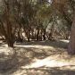 20453 Pine Mountain Drive, Groveland, CA 95321 ID:3827097