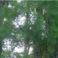 0 WALKING HORSE LN #LOT E, Hollywood, SC 29449 ID:3367454