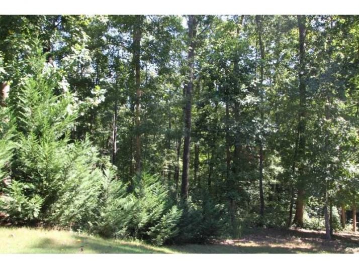 7805 Pleasant Hollow Lane, Cumming, GA 30041
