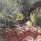 50 Fox Trail Loop, Sedona, AZ 86351 ID:3228082