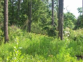0 Boykin Blvd., Lillian, AL 36549
