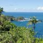 36-1070 LAUPAHOEHOE POINT RD, Laupahoehoe, HI 96764 ID:1441249