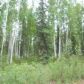 Lot 7 Timber Trail, North Pole, AK 99705 ID:1362401