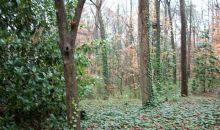 976 Liawen Court Atlanta, GA 30329