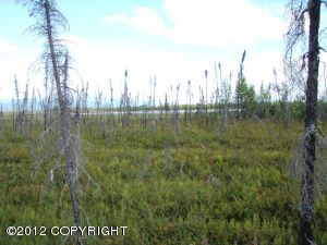 1161 S Rogers Court, Big Lake, AK 99652