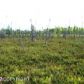 1161 S Rogers Court, Big Lake, AK 99652 ID:1536615