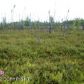 1161 S Rogers Court, Big Lake, AK 99652 ID:1536616