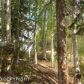 12905 W Birch Road, Big Lake, AK 99652 ID:3368924