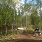 12905 W Birch Road, Big Lake, AK 99652 ID:3368928