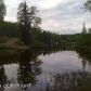 18477 W Jenny Lane, Big Lake, AK 99652 ID:3368862