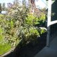 35250 Raintree Circle, Soldotna, AK 99669 ID:1384716