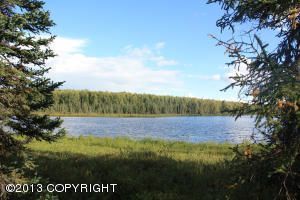 13322 W Cheri Lake Drive, Big Lake, AK 99652