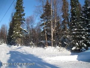 000 Elizabeth Street, Anchorage, AK 99516