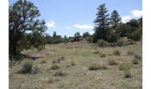 537 Rim Rock Road Del Norte, CO 81132