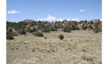 601 Rim Rock RD Del Norte, CO 81132