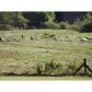 178 Guess Road Ne, Ranger, GA 30734 ID:3435051