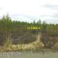 15057 W Drowsy Drive, Big Lake, AK 99652 ID:2984122
