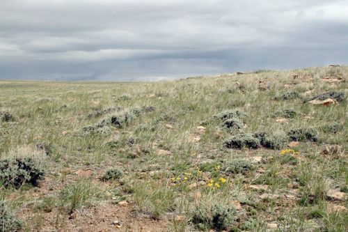 TR 78C, 81C, 82C, GLO 3 and GLO 4, Medicine Bow, WY 82329