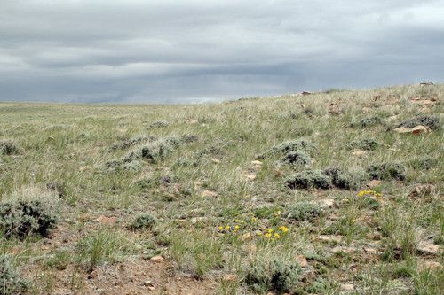 WT 2-15, WT 2-16, Medicine Bow, WY 82329