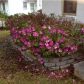 2512 PRIMROSE AVE, North Charleston, SC 29405 ID:1092240