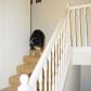 3175 Calistoga Rd, Santa Rosa, CA 95404 ID:3607793