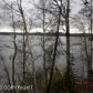 20614 W Lakes Boulevard, Big Lake, AK 99652 ID:1536891