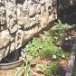 26 RIDGEWELL LN, Bella Vista, AR 72715 ID:1161667