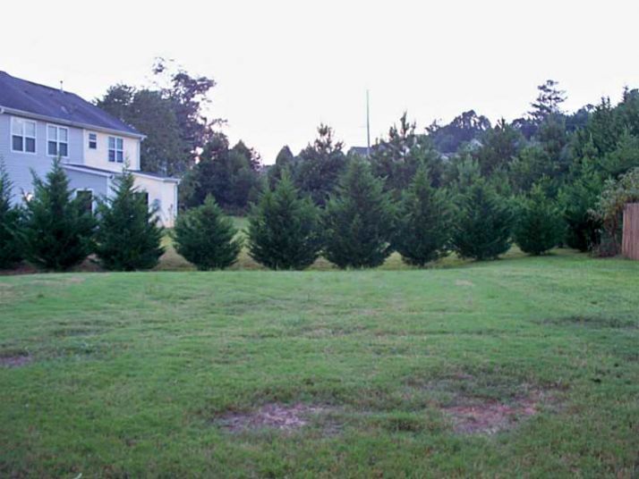 Unit N/a - 168 Pearl Chambers Drive, Dawsonville, GA 30534