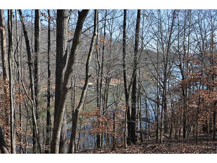 0 Lake Drive, Dawsonville, GA 30534