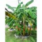 6800 GOLF COURSE BLVD # P5, Punta Gorda, FL 33982 ID:3015769