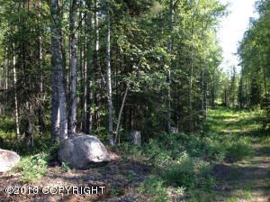14058 W Kelli Jo Street, Big Lake, AK 99652