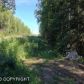 14058 W Kelli Jo Street, Big Lake, AK 99652 ID:2985979