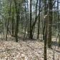 475 Amicalola Woods Dr, Dawsonville, GA 30534 ID:3293994