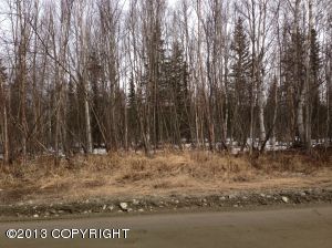 10723 W Forest Lake Drive, Wasilla, AK 99654
