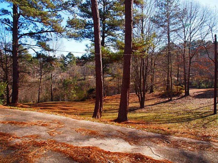3877 Panthersville Road, Ellenwood, GA 30294