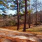 3877 Panthersville Road, Ellenwood, GA 30294 ID:4212373