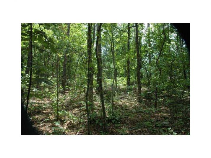9315 Sweetbriar Trail, Jonesboro, GA 30236