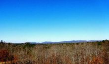 5 Macedonia Road White, GA 30184